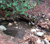 FRA010 Creek cross