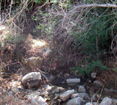 FRA009 Creek cross