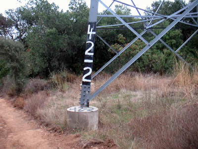 Image Number Four