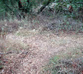 FRE010 Trail junction