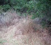 FRE011 Trail junction