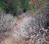 FRE012 Trail junction