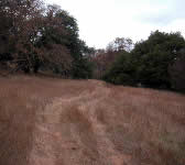 FRE006 Meadow