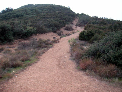 Image Number Nine