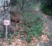GAV003 Culvert