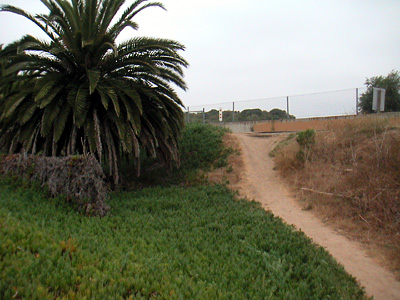 Image Number Ten