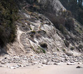 HEN005 More Mesa steps