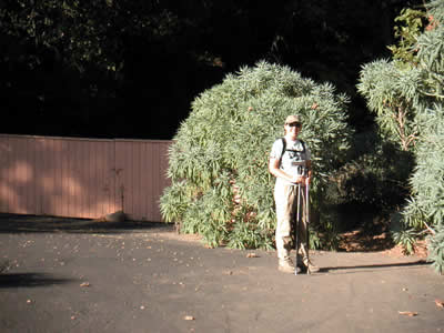 Image Number Four