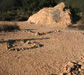   Hot Springs Saddle Rock Trails  