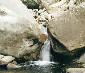 Rattlesnake Trail