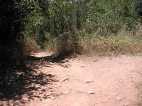 JES020 Junction with trail