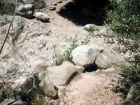 JES019 Stream crossing