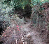 JES018 Switchbacks