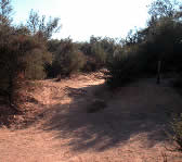 JES017 Fire road
