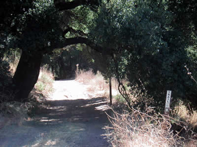 Image Number Eleven
