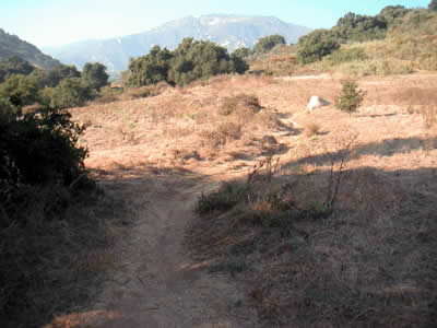 Image Number Seven