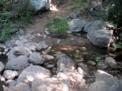 Image Number Eight