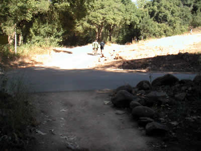 Image Number Nine