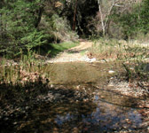 MCW019 Stream crossing