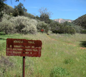 MCW004 Trial junction