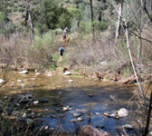 MCW009 Stream crossing
