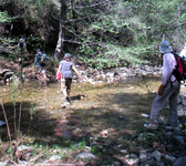 MCW010 Stream crossing