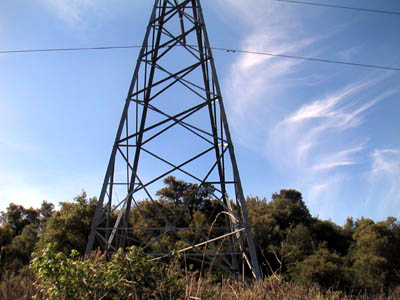 Image Number Three