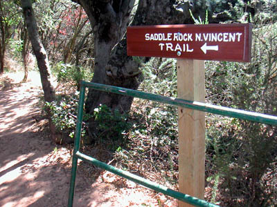 Image Number Nine