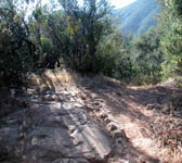 SRT001a Hilltop