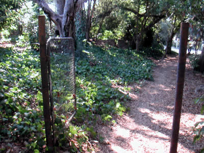 Image Number Ten