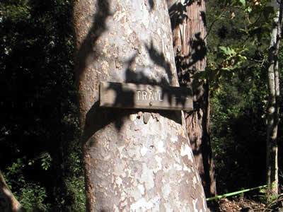 Image Number Two