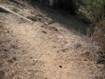 Image Number Seven
