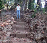 WIM003 Steps