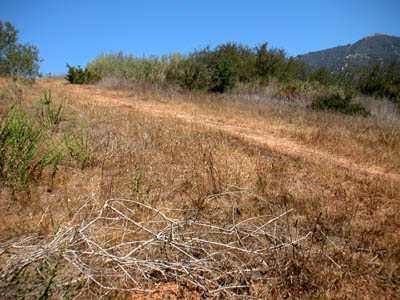 Image Number Six