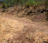 PAR016 Junction trail