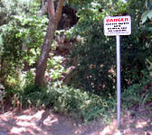 PAR003 Trail junction