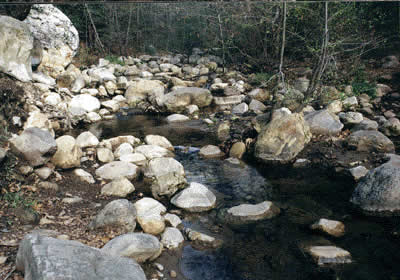 Image Number Two