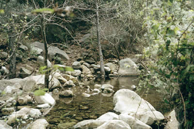 Image Number Seven