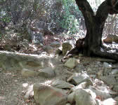 RAT014 Dry creek crossing