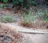 RAT015 Steep switchbacks