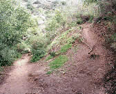 RAT005 Junction with trail