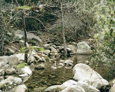 RAT007 Wide stream crossing