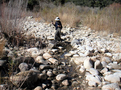 Image Number Nine