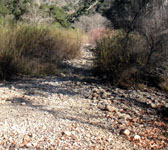 RRT013 River crossing