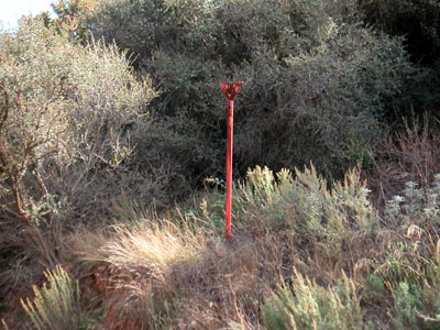 Image Number Nineteen