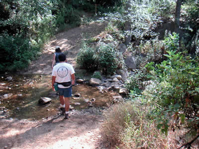 Image Number Five