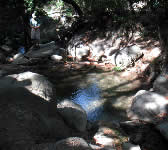 ROM010 Stream crossing