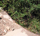 ROM022 Concrete run-off