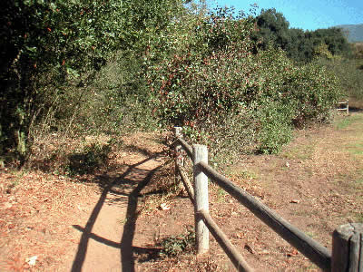 Image Number Two