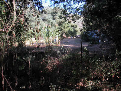 Image Number Five